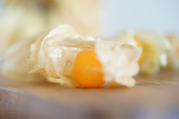 Physalis