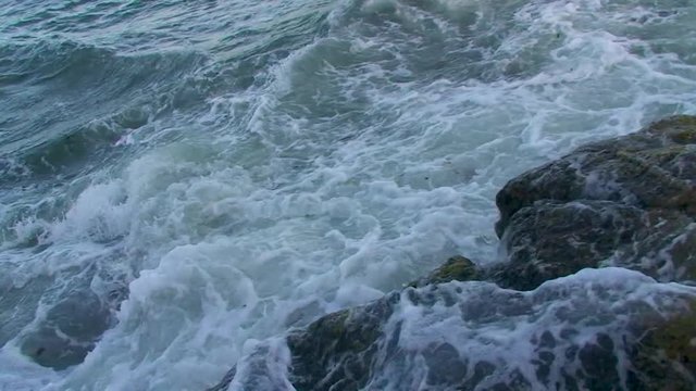 Temp&ecirc;te maritime