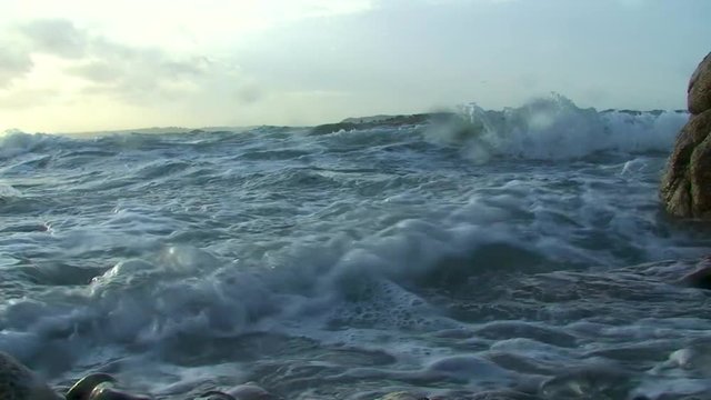 Temp&ecirc;te maritime