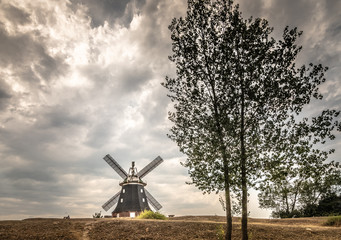Plakat Windmühle an der Ostsee