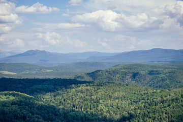 Naklejka premium mountain forest landscape