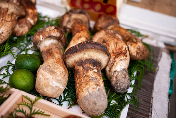 Matsutake Mushroom is a highly sought mycorrhizal mushroom. Much love by Asian, especially Japanese. Highly regards and prized as Truffle of the east for its distinct aromatic odor. Symbol of Autumn.