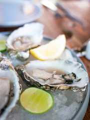 Tasty fresh oysters close-up on ice. Raw oysters are packed with nutrition, high in calcium, potassium, magnesium, vitamin and mineral. Flavor are sweet and refreshing. Believed to be an aphrodisiac.