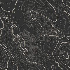 Topographic map background concept with space for your copy. Topography lines art contour , mountain hiking trail , Shape vector design. Computer generated .