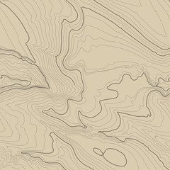 Topographic map background concept with space for your copy. Topography lines art contour , mountain hiking trail , Shape vector design. Computer generated .