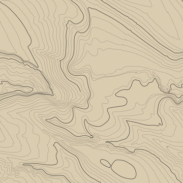 Topographic map background concept with space for your copy. Topography lines art contour , mountain hiking trail , Shape vector design. Computer generated . © RDVector