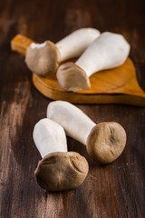 King oyster mushroom