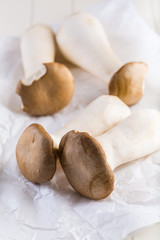 King oyster mushroom
