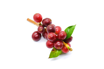 Coffee berries red on white background.