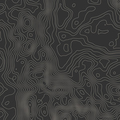 Topographic map background concept with space for your copy.