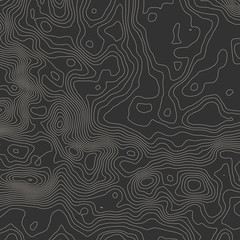 Topographic map background concept with space for your copy.
