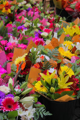 Outdoor market selling different colorful flowers in Stockholm, Sweden