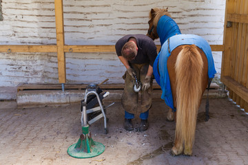 a man horseshoer changes horseshoes on a horse farm