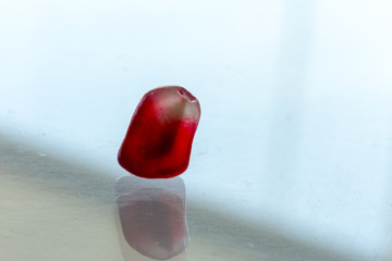 lonely pomegranate leaf on  white ground