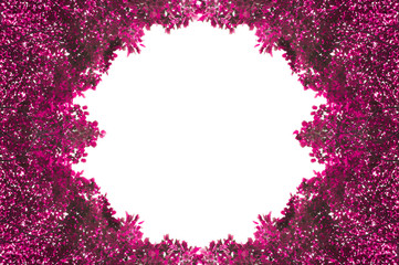 Frame from pinks leafs isolated on white background with space for text,for background