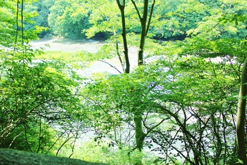 初夏の山と川の風景