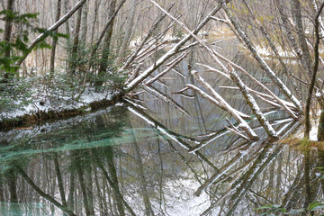 snowcapped tree and natural blue lake at KAMIKOCHI NAGANO JAPAN.