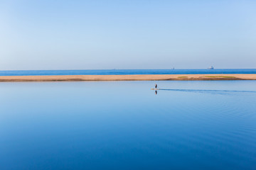 River Lagoon Stand Up Paddler Paddling Beach Ocean Landscape