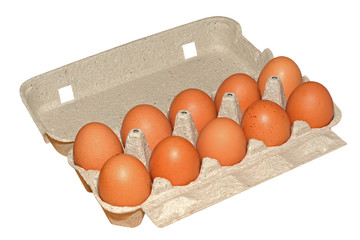 Chicken eggs in a cardboard container isolated on white background