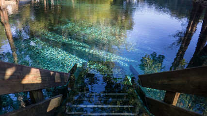 Wooden staircase steps going down to the crystal clear turquoise water of Ginnie Springs, Florida. In Santa Fe river