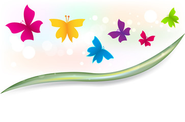 Butterflies garden cover template vector image