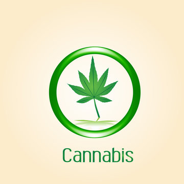 Logo cannabis leaf symbol icon vector image