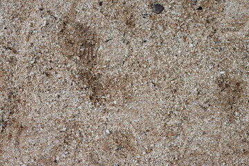 Focus of Surface sand in garden for background and texture.