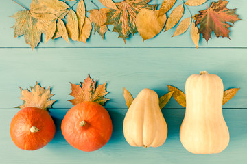 Autumn pumpkins and leaves on blue wooden background. Top view. Copy space