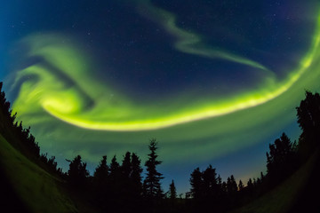 アラスカのオーロラ Aurora Alaska 