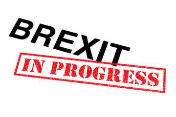 Brexit In Progress