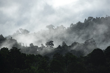 Landscape view of mountains layers, tropical forest natural field