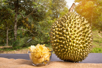 Warm light durian ripe fresh with Fried Durian on sackcloth in tree in durian garden background with copy space