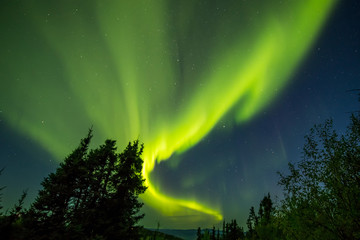 アラスカのオーロラ Aurora Alaska 