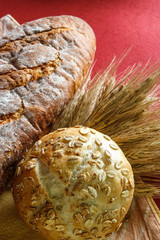 dough and bread close up with wheat