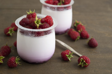 Homemade healthy diet yogurt with raspberries. selective focus