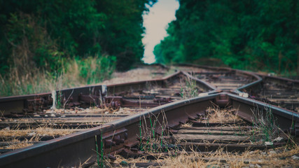 train on the railway