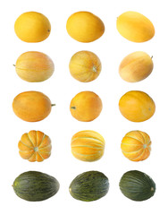 Set with different kinds of fresh ripe melons on white background