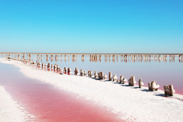 Obraz premium Beautiful view of pink lake on summer day