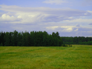 green field and blue sky