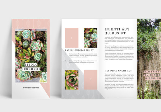 Layout per Brochure a tre ante delicato