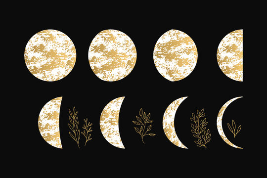 Vector illustration of golden moon and crescent with glitter fancy herbs.