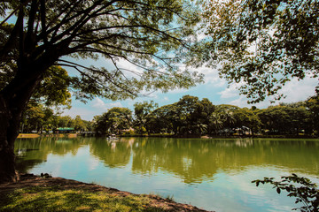 View in the morning at Lumbini Park bangkok Thailand