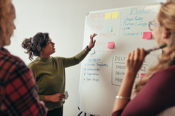 Female programmer explaining new project to coworkers