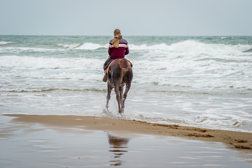 Horse in Saaidia beach