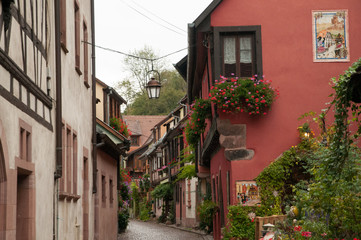 Fototapeta na wymiar Vineyards by Alsace villages