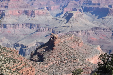 Grand Canyon Landscape