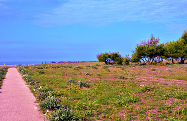 marine panorama of capaccio paestum Cilento Italy