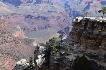 Grand Canyon Landscape