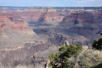 Grand Canyon Landscape