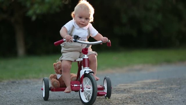 Cute toddler child, boy, playing with tricycle in backyard, kid riding bike on sunset